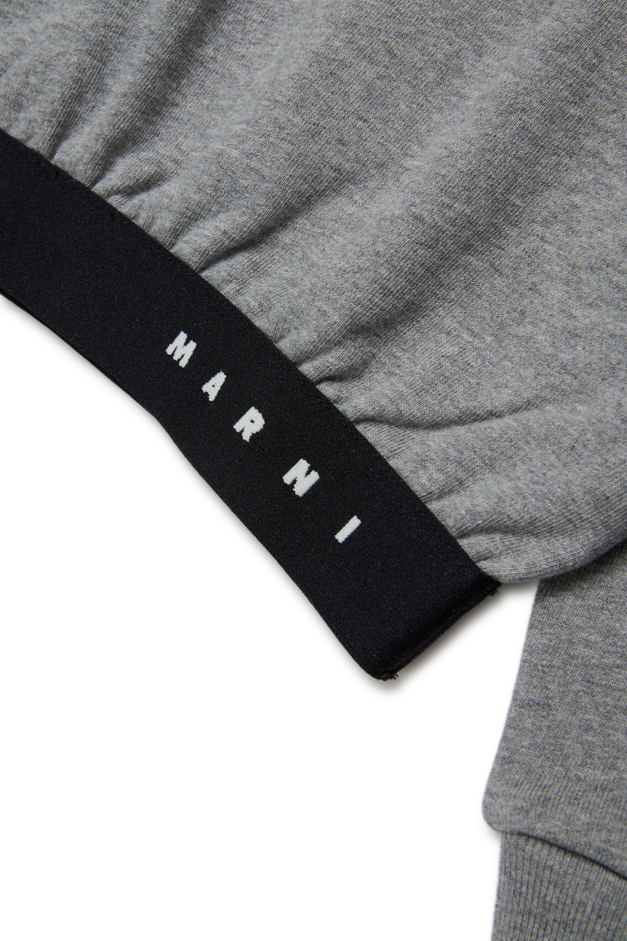 Hooded sweatshirt with logoed elastic