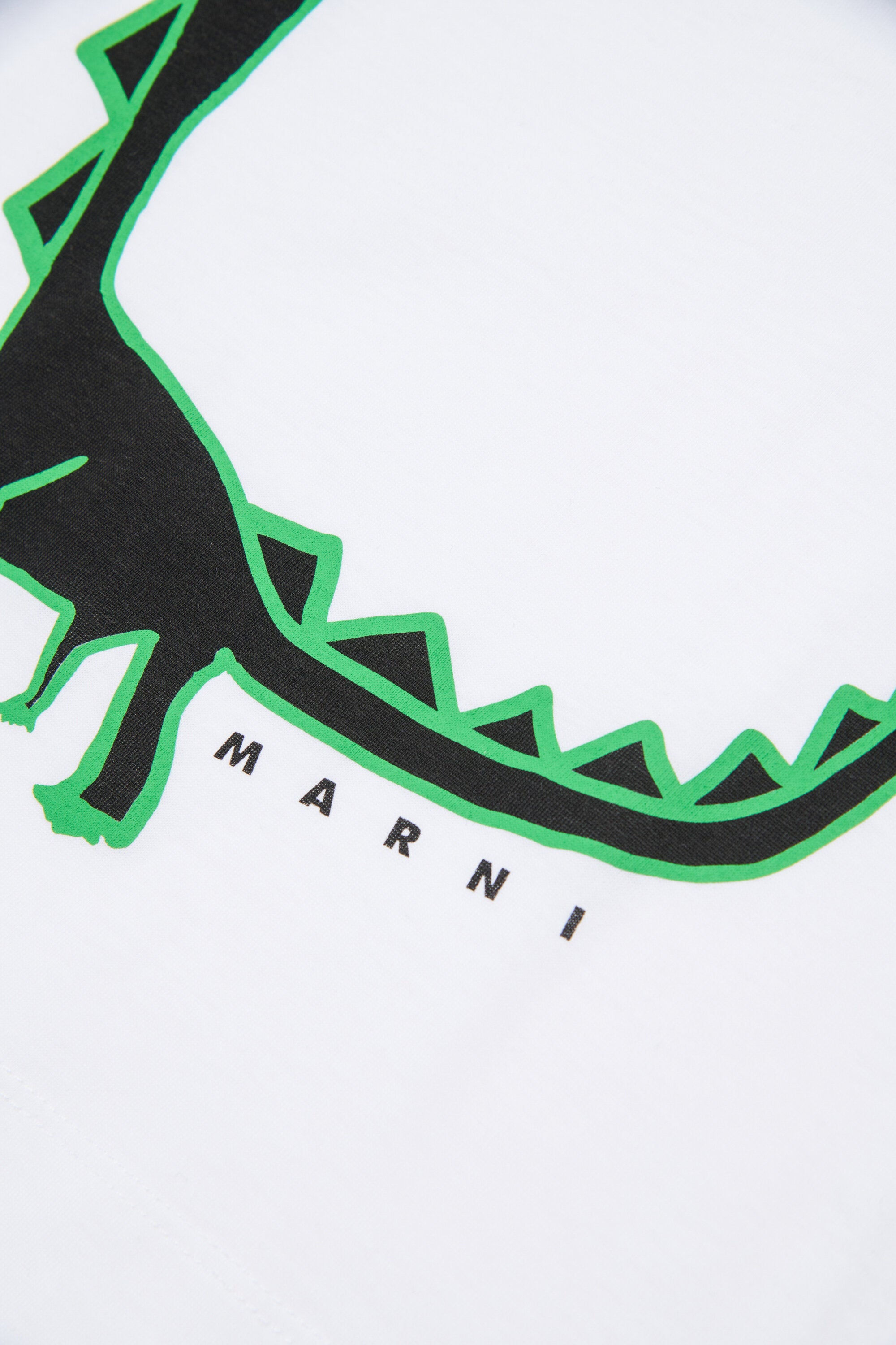 T-shirt with dinosaur print
