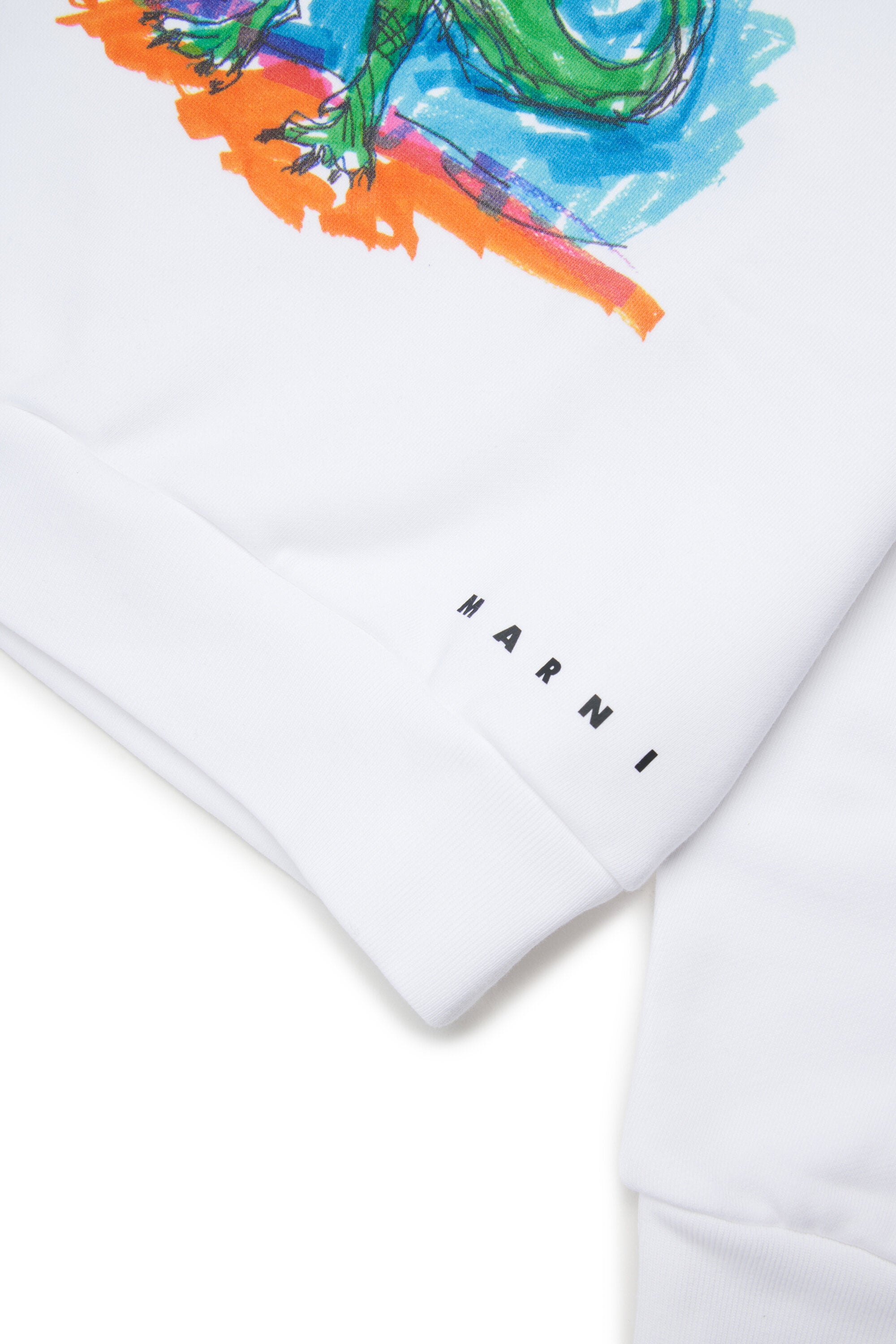 Crewneck sweatshirt with Jurassic World-themed logo