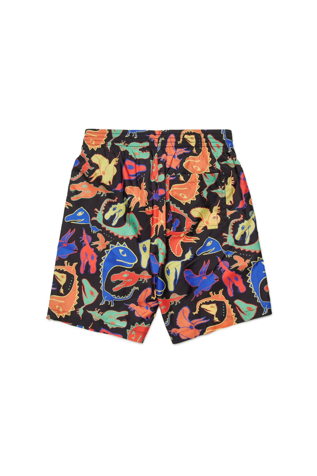 Boxer swimsuit with multicolored dinosaur print