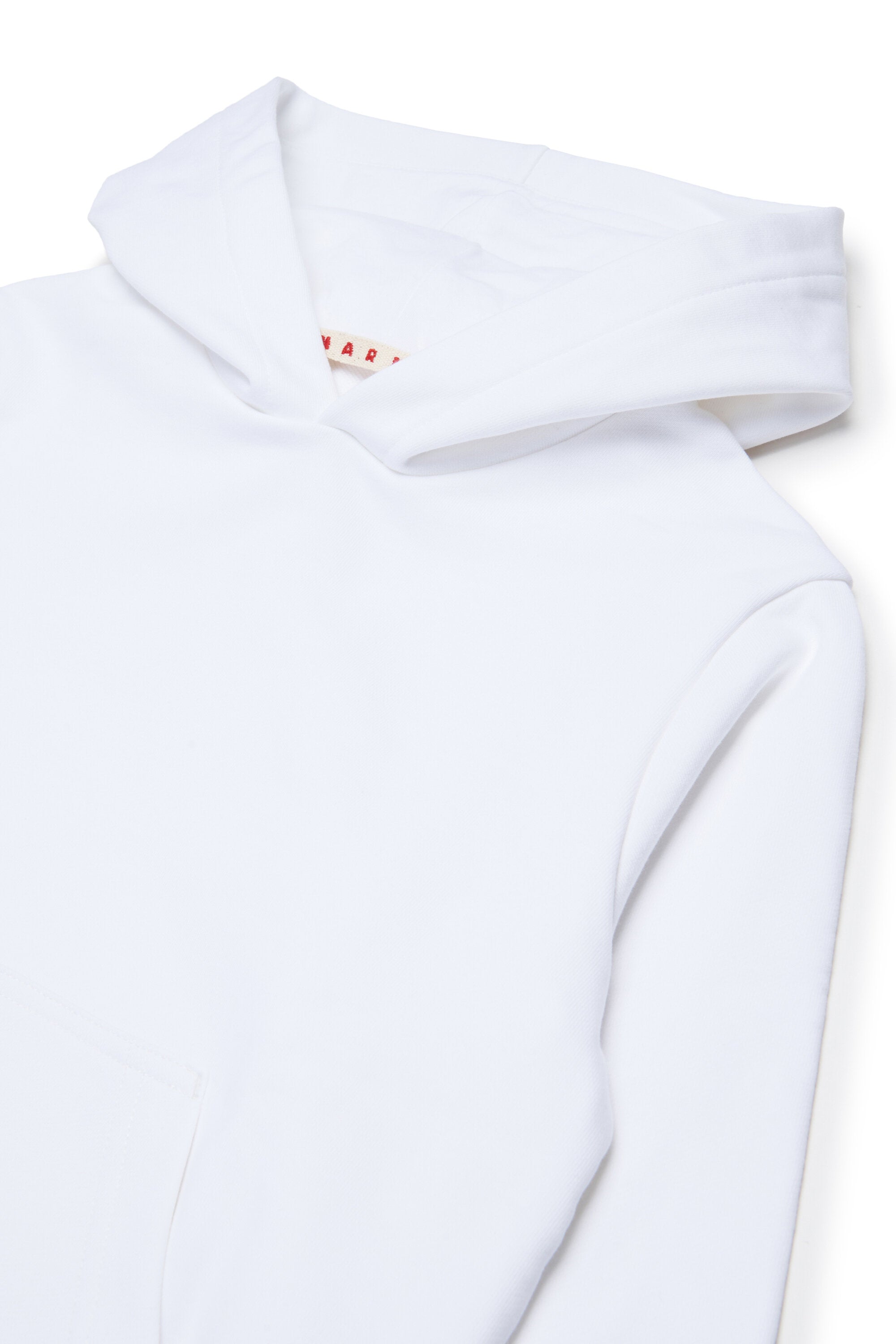 Hooded sweatshirt with logo
