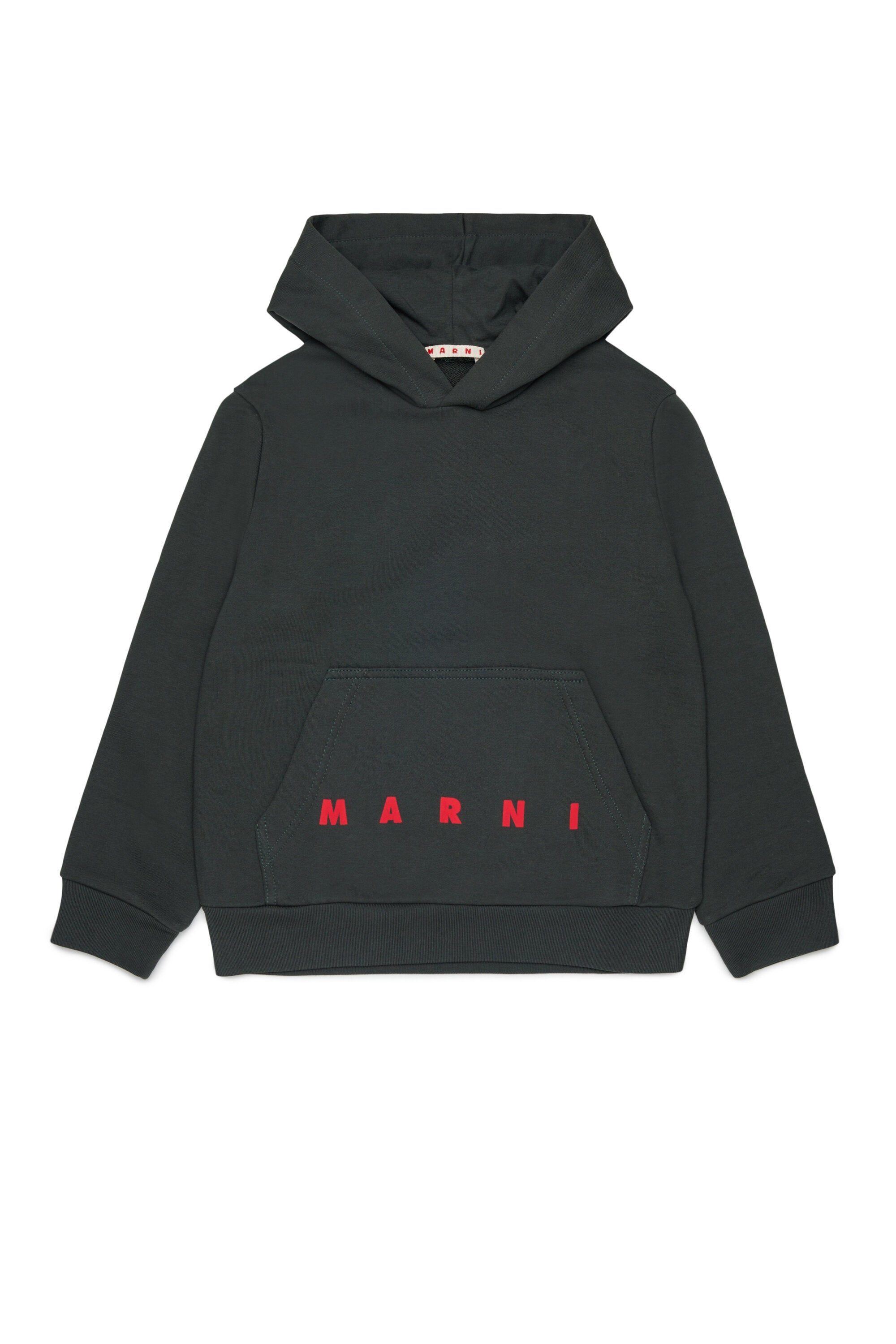 Hooded sweatshirt with logo