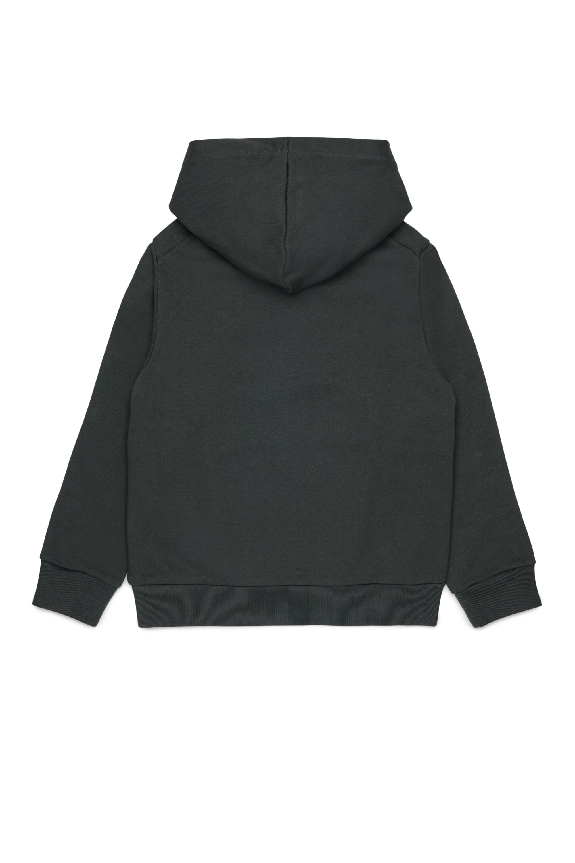 Hooded sweatshirt with logo