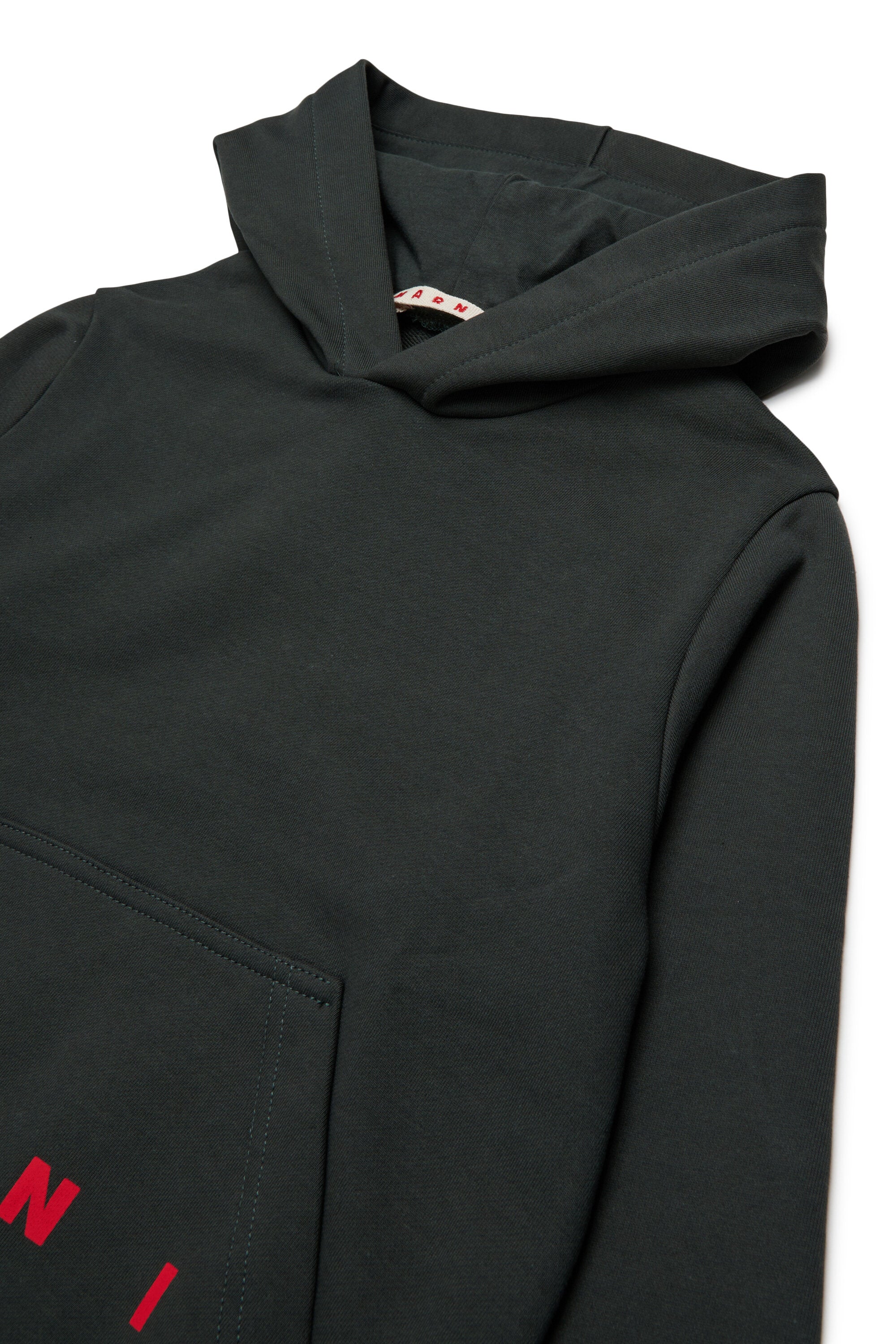 Hooded sweatshirt with logo