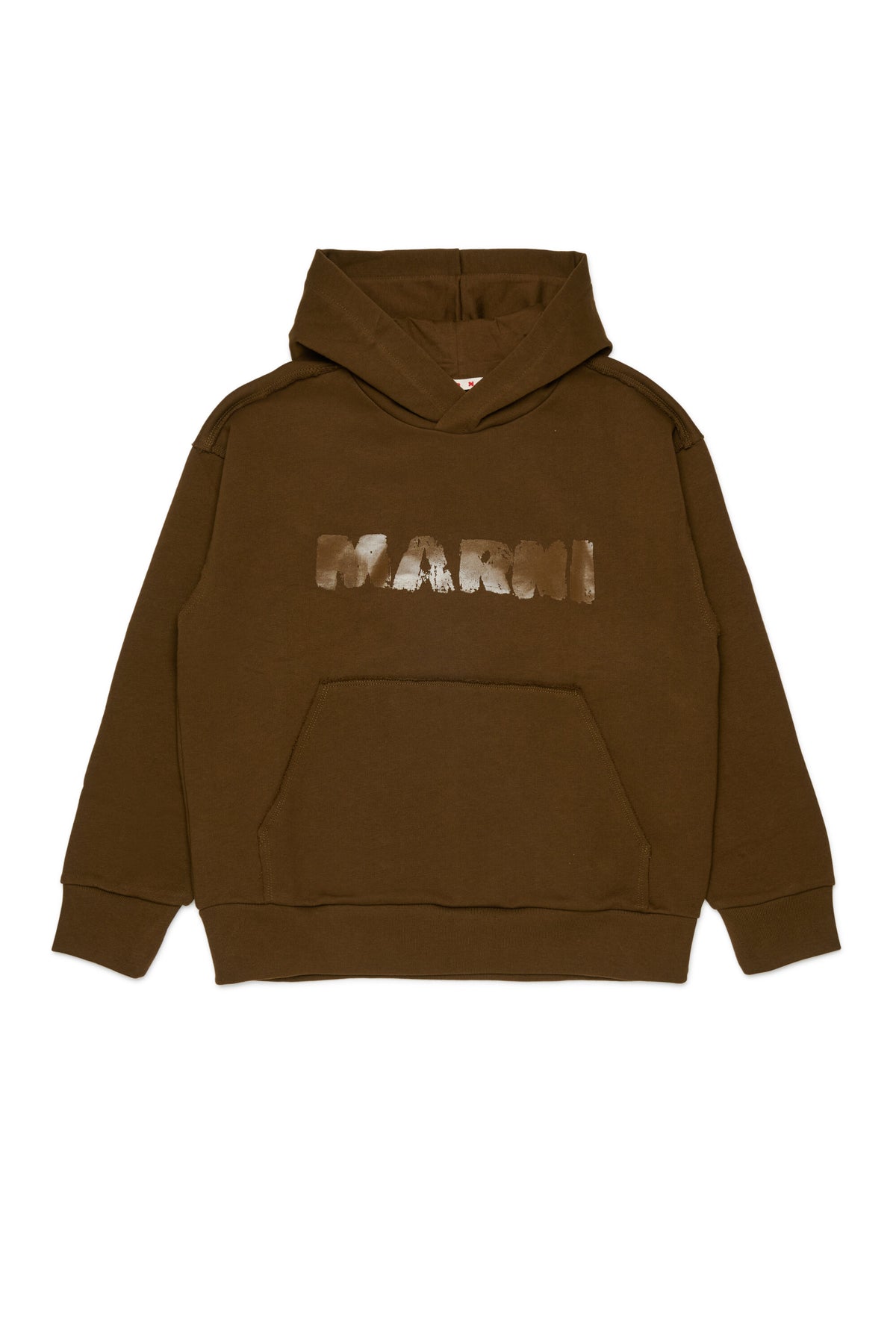 Hooded sweatshirt with logo