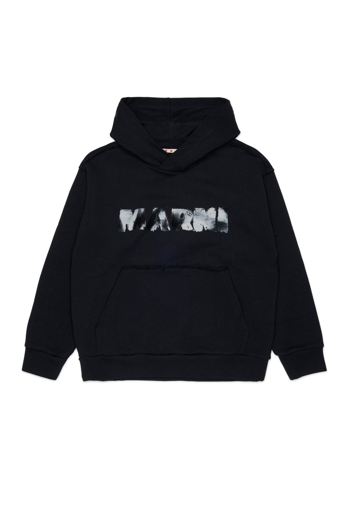 Hooded sweatshirt with logo