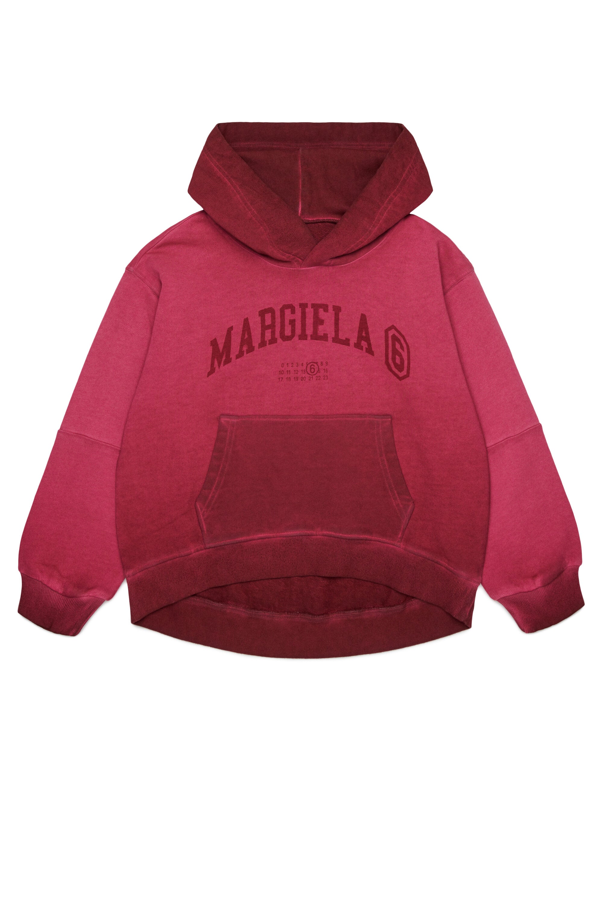 Hooded sweatshirt with logo