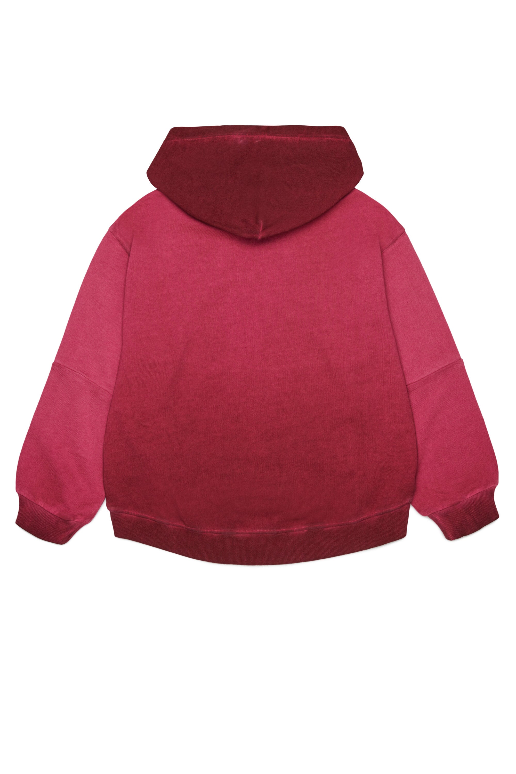 Hooded sweatshirt with logo