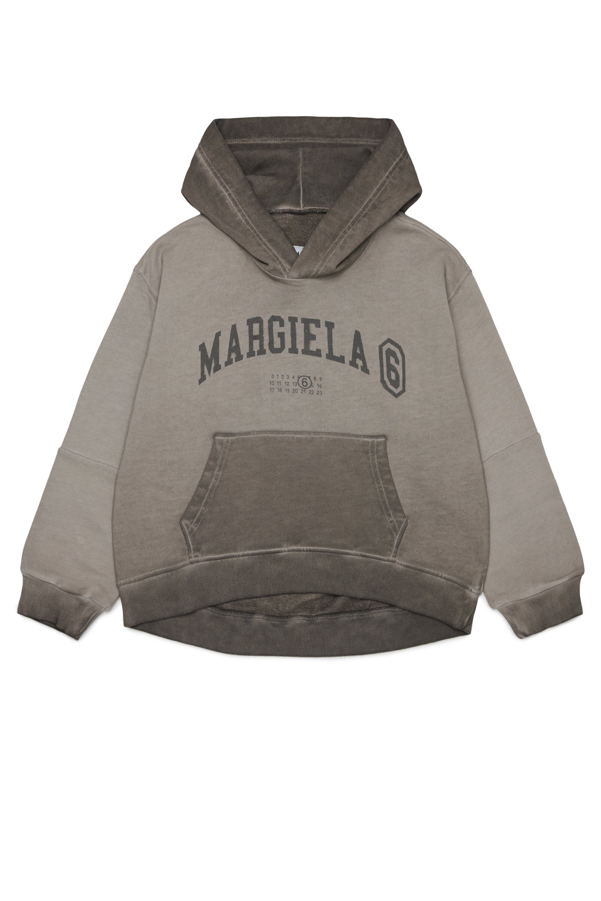 Hooded sweatshirt with logo