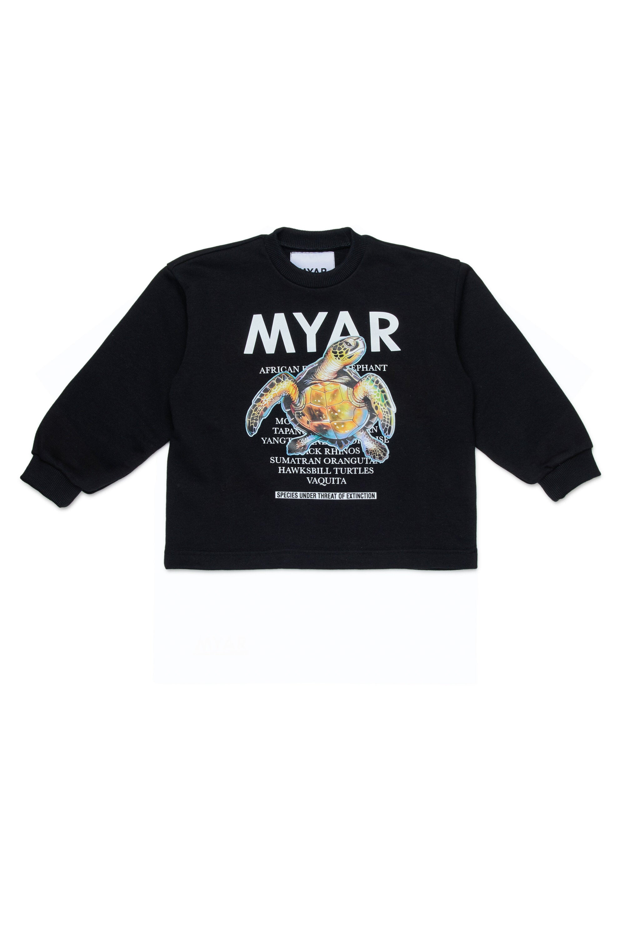 Crewneck sweatshirt with graphic print