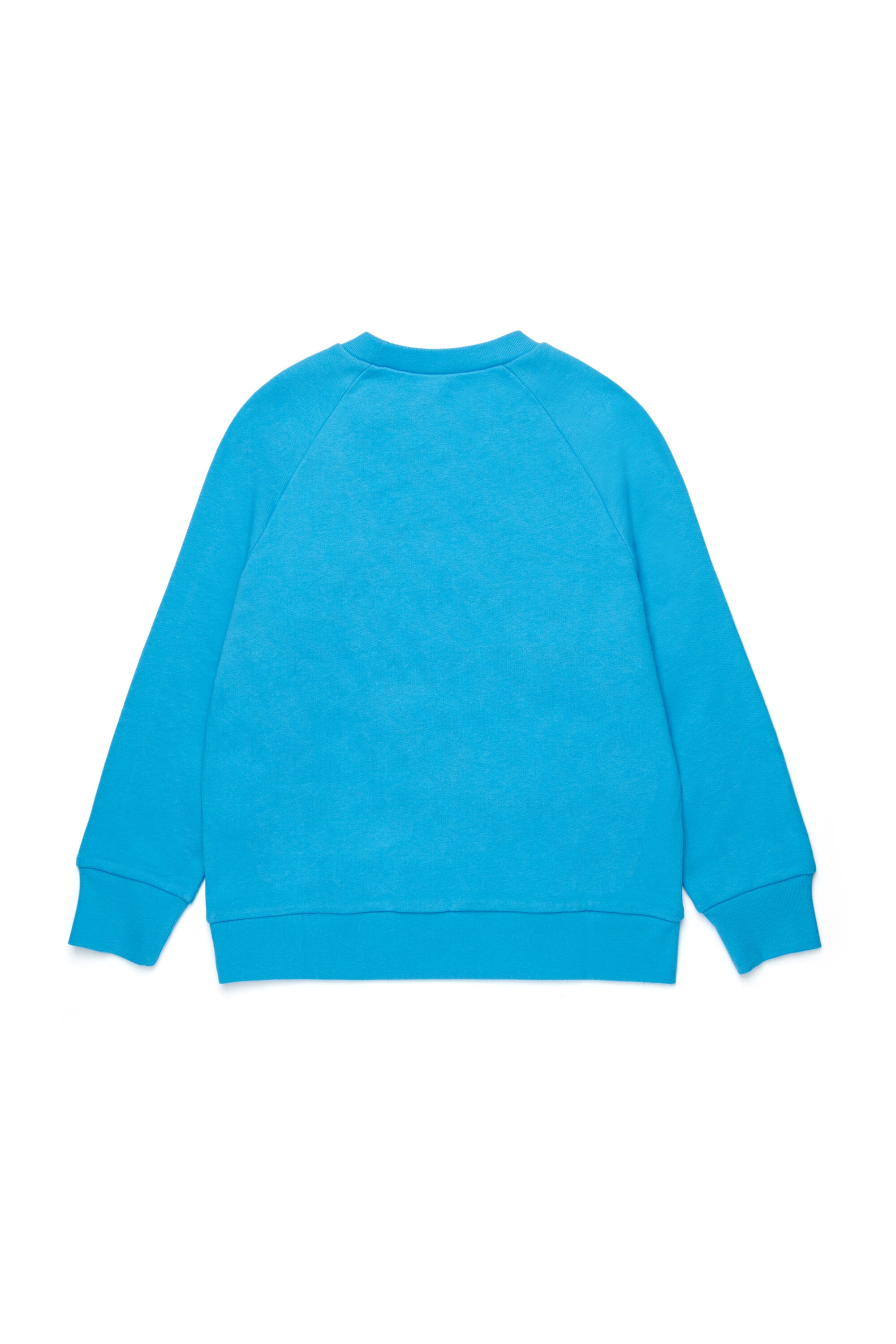 Crewneck sweatshirt with popsicle print