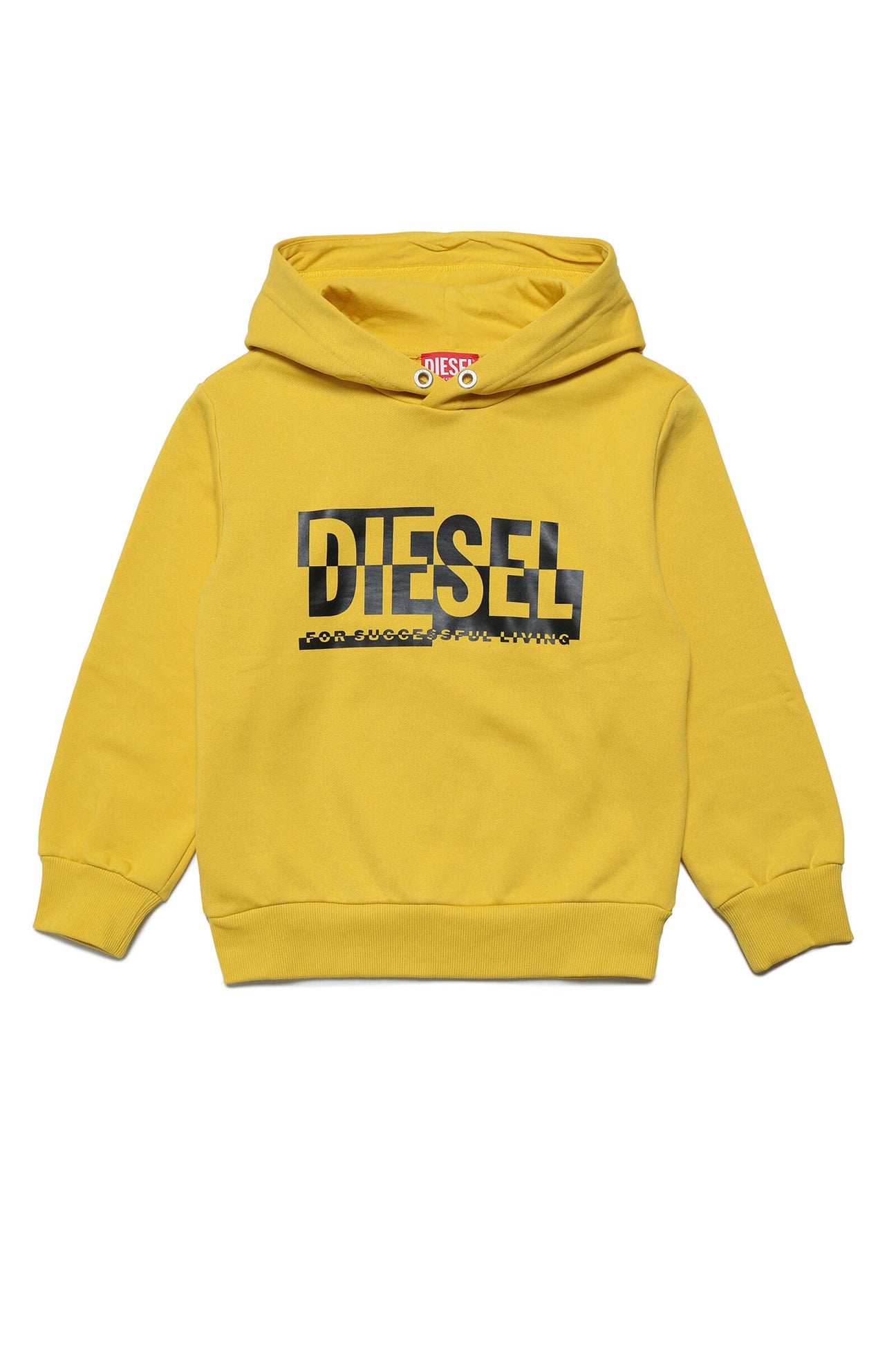 Hooded cotton sweatshirt with sectioned logo 